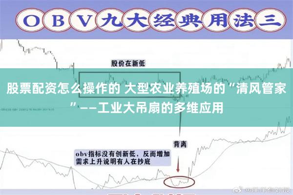 股票配资怎么操作的 大型农业养殖场的“清风管家”——工业大吊扇的多维应用