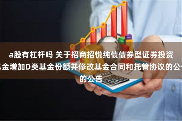 a股有杠杆吗 关于招商招悦纯债债券型证券投资基金增加D类基金份额并修改基金合同和托管协议的公告