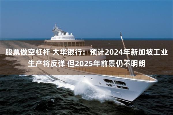 股票做空杠杆 大华银行：预计2024年新加坡工业生产将反弹 但2025年前景仍不明朗