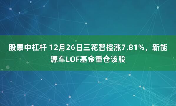 股票中杠杆 12月26日三花智控涨7.81%，新能源车LOF基金重仓该股