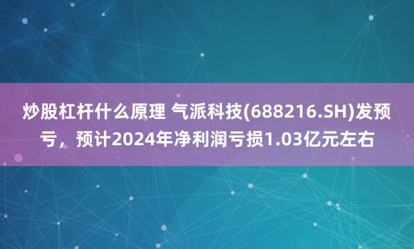 炒股杠杆什么原理 气派科技(688216.SH)发预亏，预计2024年净利润亏损1.03亿元左右