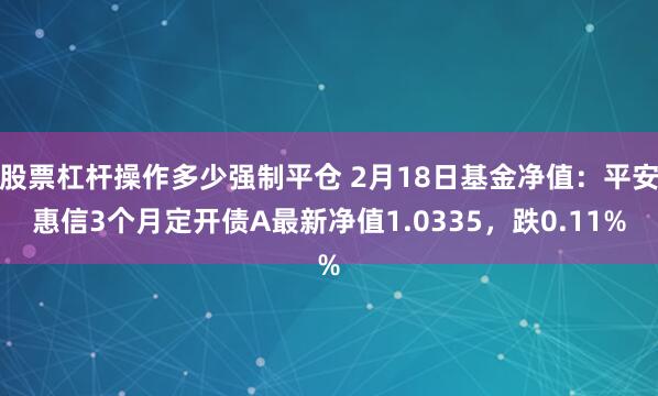 股票杠杆操作多少强制平仓 2月18日基金净值：平安惠信3个月定开债A最新净值1.0335，跌0.11%